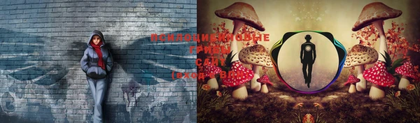 трава Алексеевка