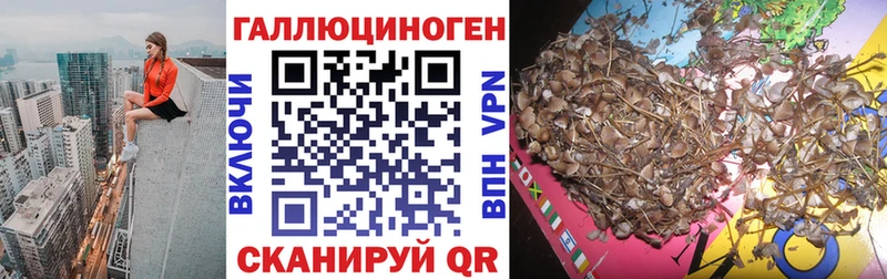Псилоцибиновые грибы мухоморы  Купить закладки  Ленинградская 